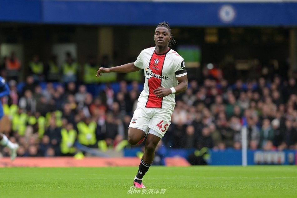 数球迷感到 数球迷感到